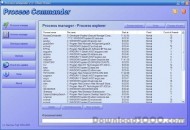Process Commander screenshot